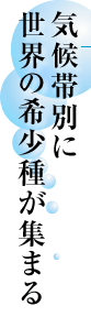 気候帯別に世界の希少種が集まる