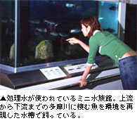 処理水が使われているミニ水族館。上流から下流までの多摩川に棲む魚を環境を再現した水槽で飼っている。